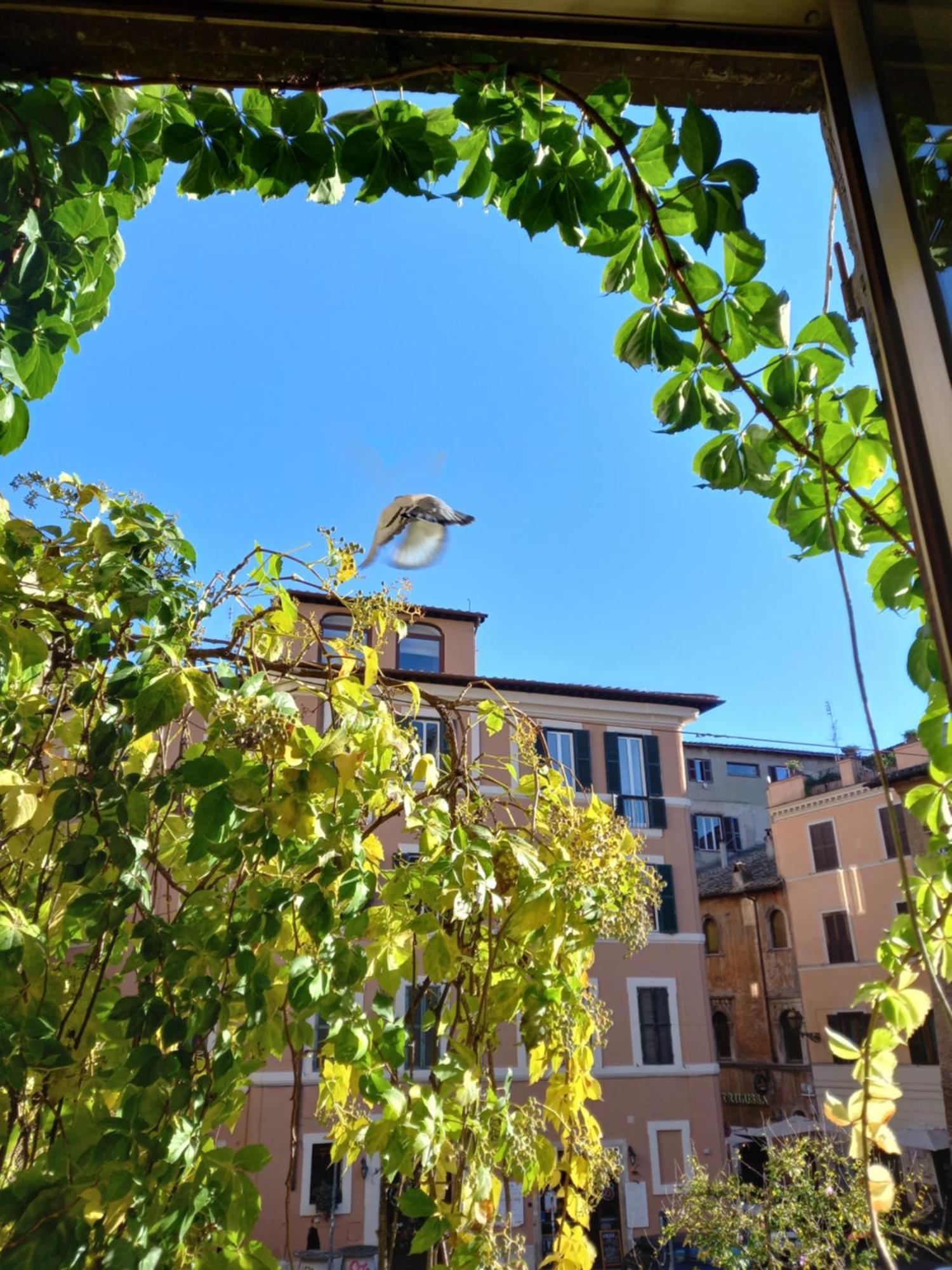 Central Apartment In Trastevere Roma Cameră foto
